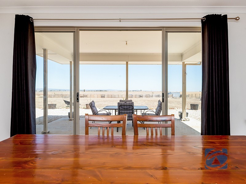 19 Schaefer Street, Freeling SA 5372