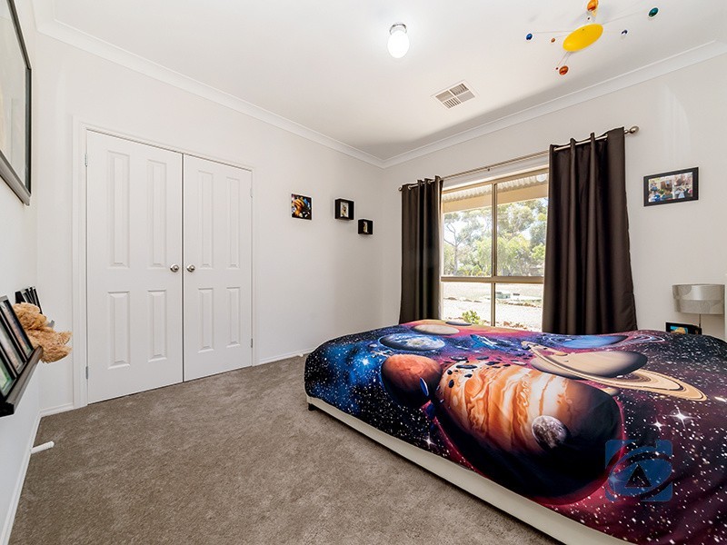 19 Schaefer Street, Freeling SA 5372