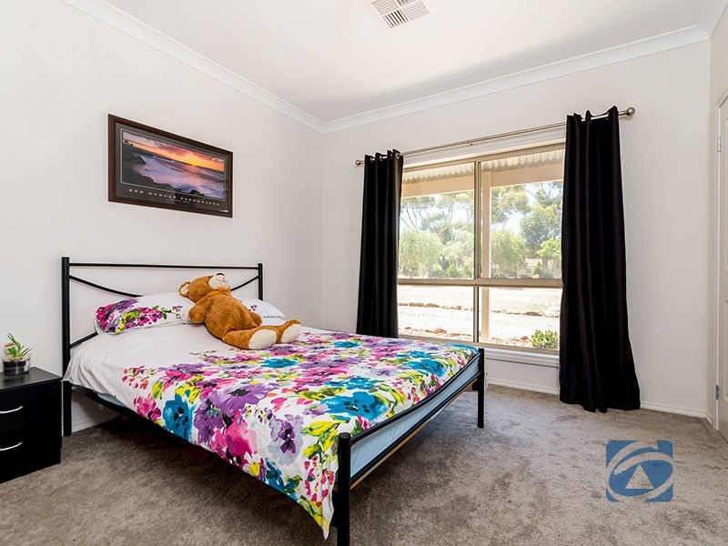 19 Schaefer Street, Freeling SA 5372