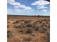 Lot 262 Mount Mary Road, Steinfeld SA 5356