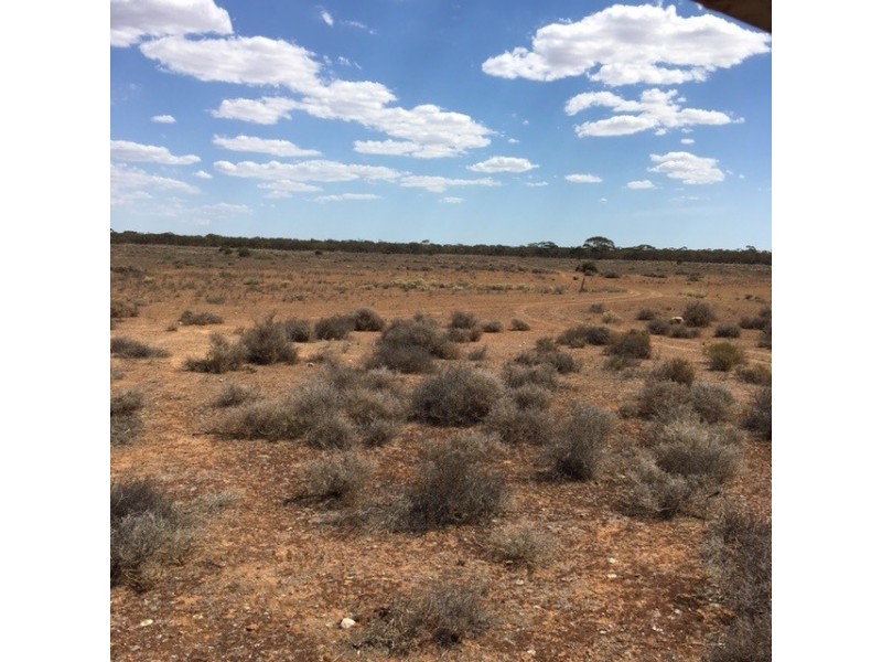Lot 262 Mount Mary Road, Steinfeld SA 5356
