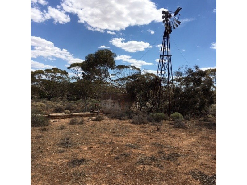 Lot 262 Mount Mary Road, Steinfeld SA 5356