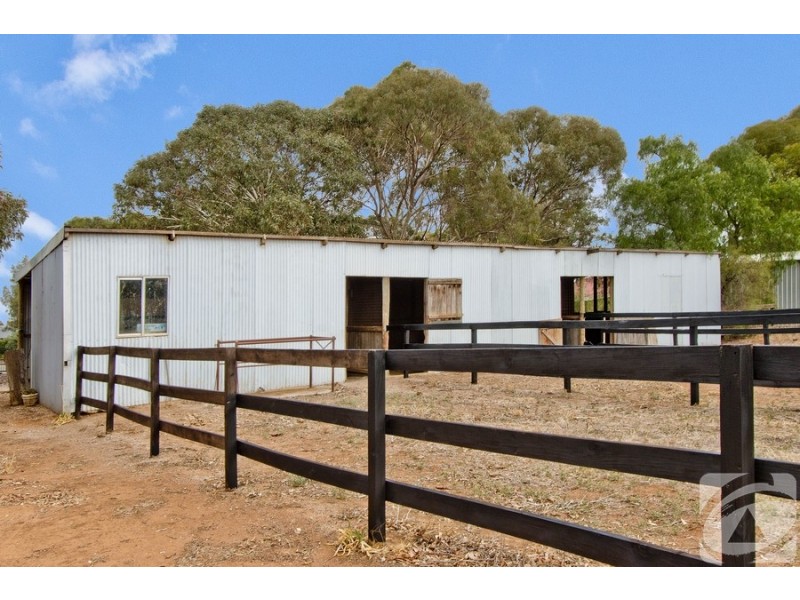 14 Rose Drive, Roseworthy SA 5371