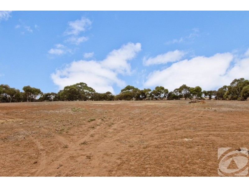 14 Rose Drive, Roseworthy SA 5371