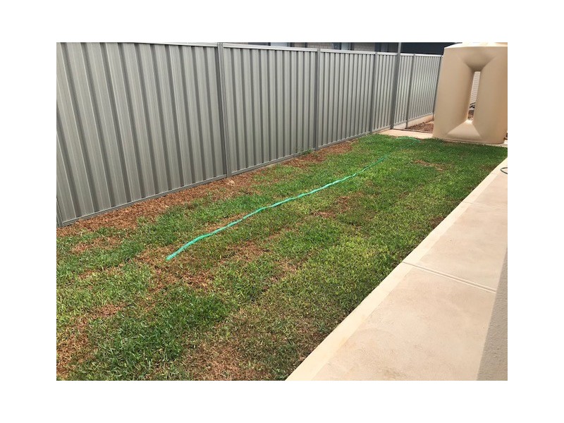 14 Castleton st (virginia Grove), Virginia SA 5120