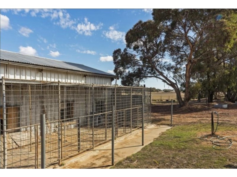 45 Fairlie Road, Gawler Belt SA 5118