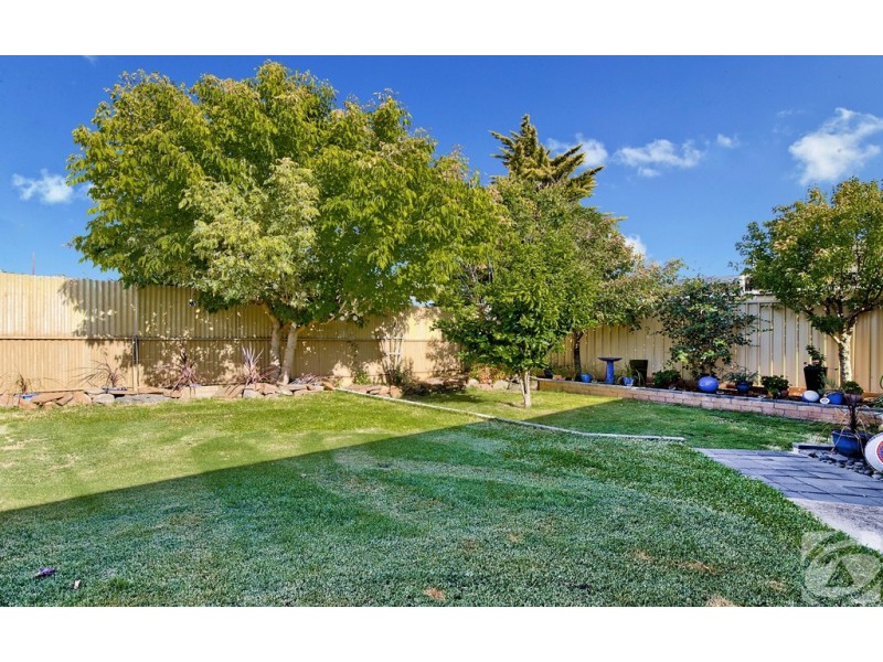 8 Skurray Court, Gawler West SA 5118