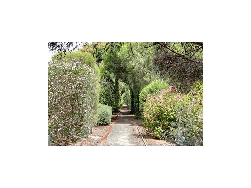 Site 104 Fifth Avenue, Hillier SA 5116