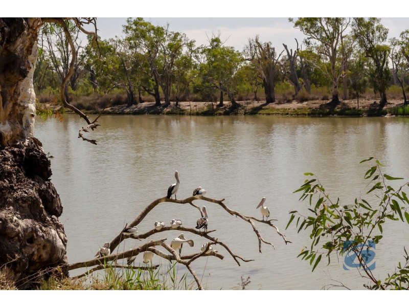 38 Acland Street, Blanchetown SA 5357