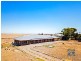 19 Schaefer St, Freeling SA 5372