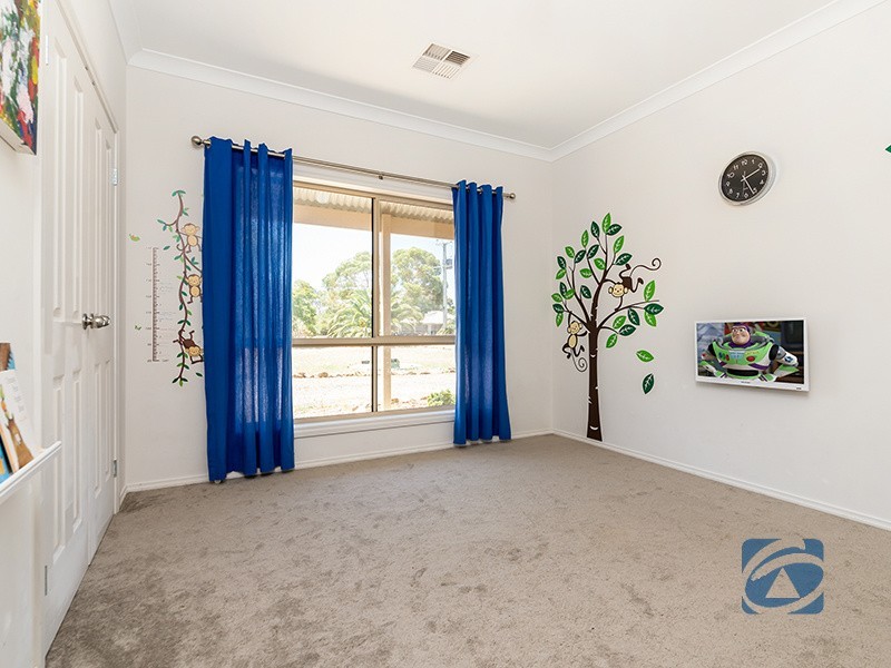 19 Schaefer St, Freeling SA 5372