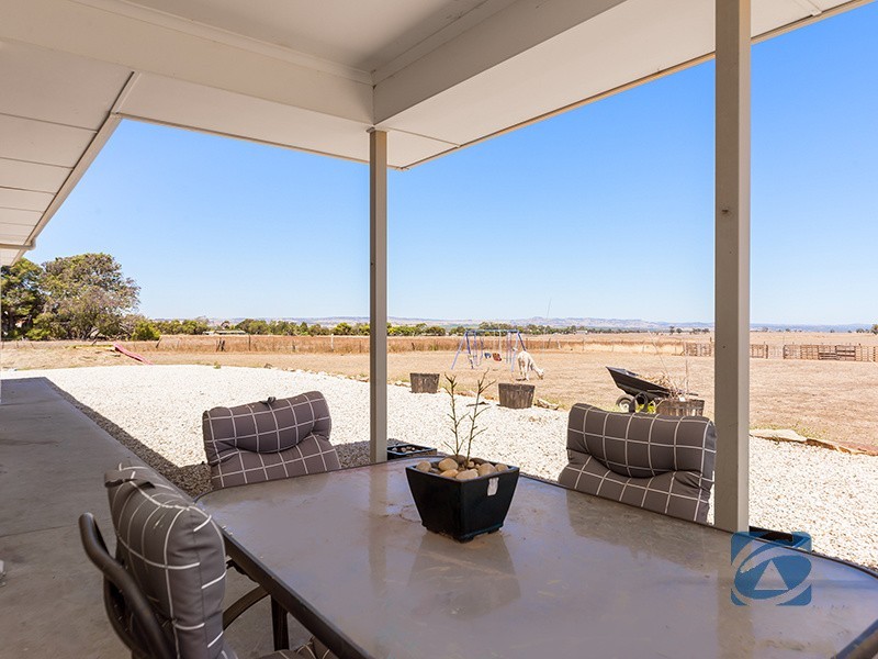 19 Schaefer St, Freeling SA 5372