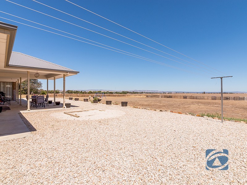 19 Schaefer St, Freeling SA 5372