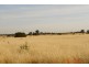3 Dawkins Road, Lewiston SA 5501