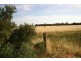 3 Dawkins Road, Lewiston SA 5501
