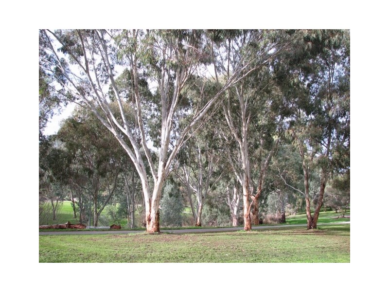 3 Produce Court, Athelstone SA 5076