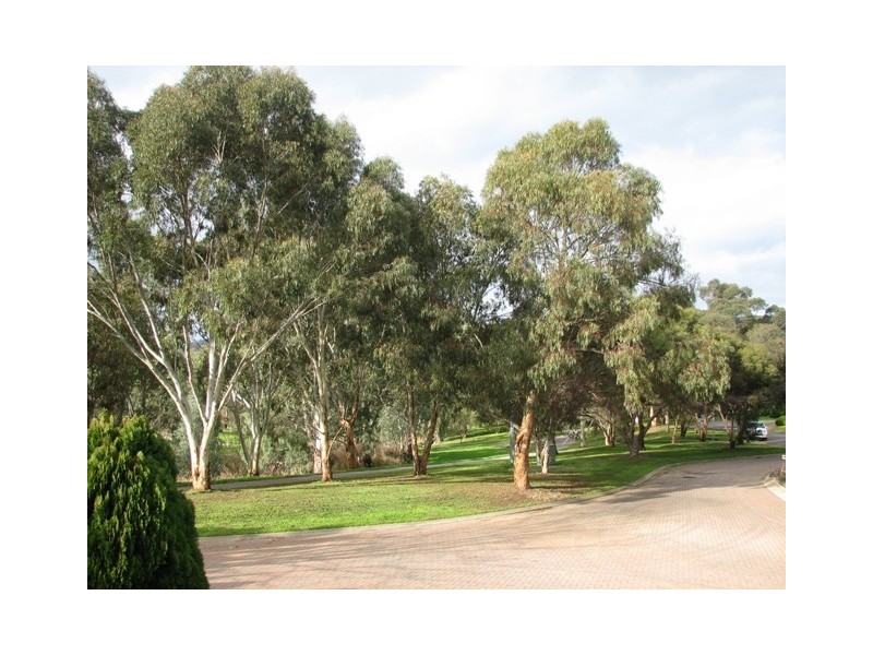 3 Produce Court, Athelstone SA 5076