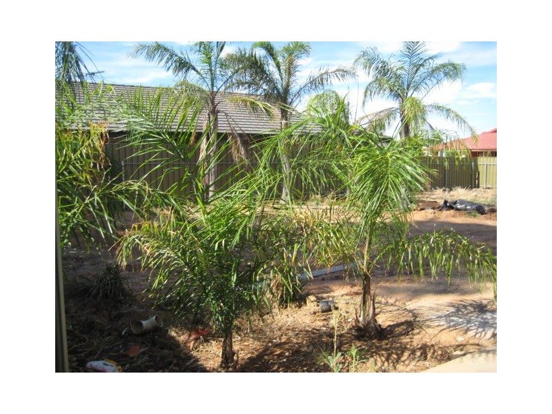 1  Gluford Court, Andrews Farm SA 5114