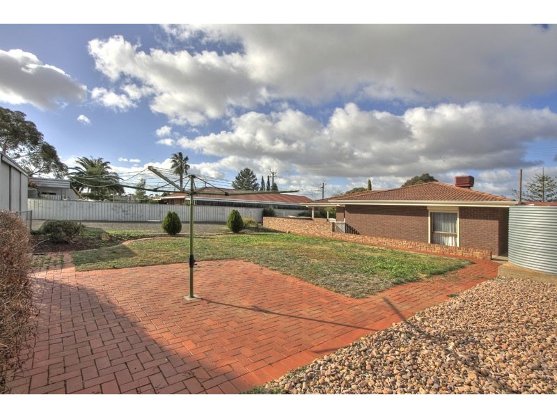 55 Borrow Street, Freeling SA 5372