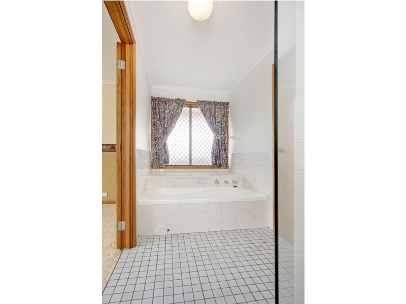 55 Borrow Street, Freeling SA 5372