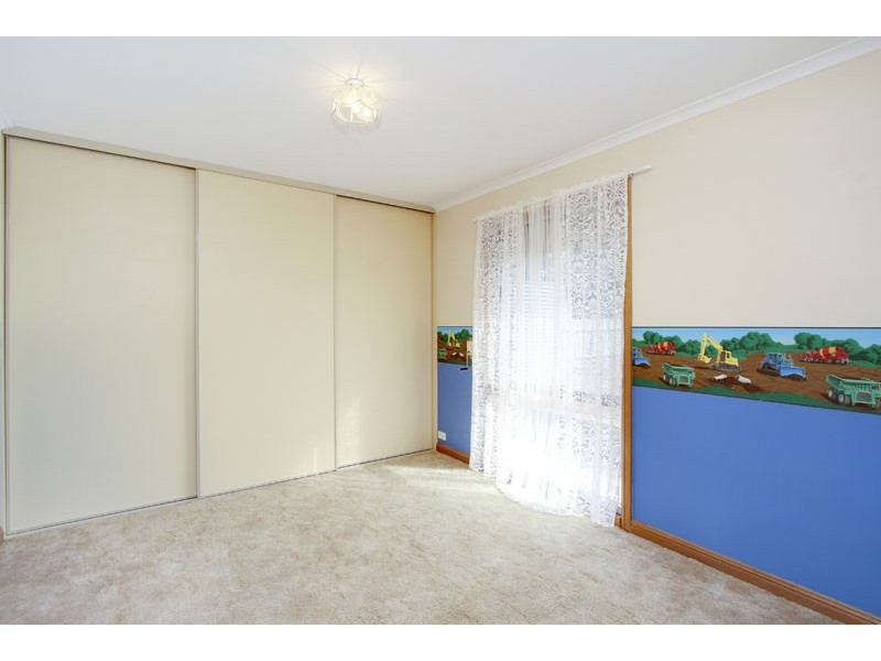 55 Borrow Street, Freeling SA 5372