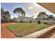 55 Borrow Street, Freeling SA 5372