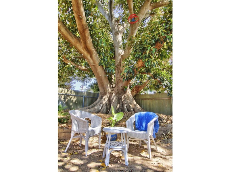 4036 Two Wells Road, Gawler SA 5118