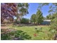 4036 Two Wells Road, Gawler SA 5118