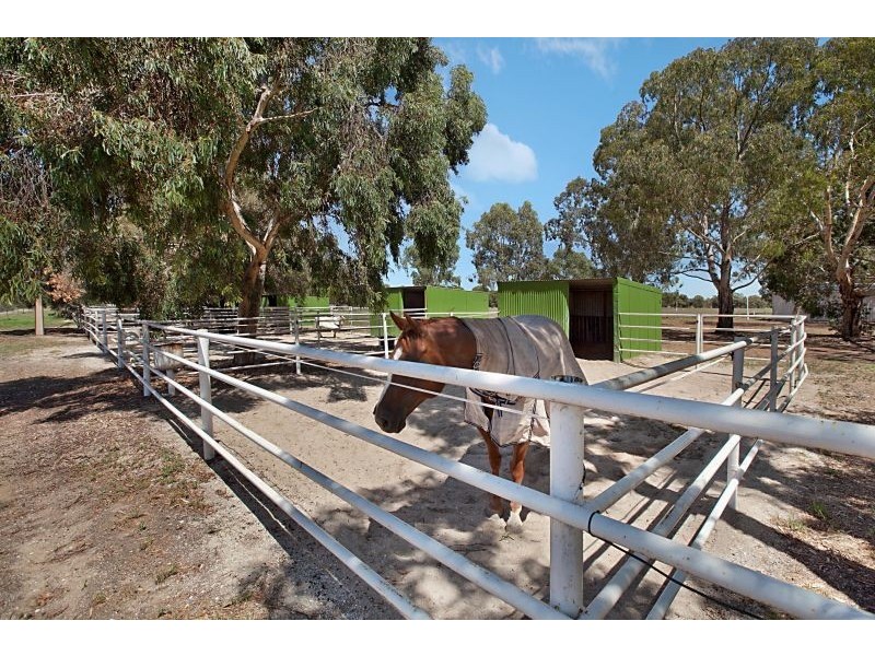 8 Badman Street, Hillier SA 5116