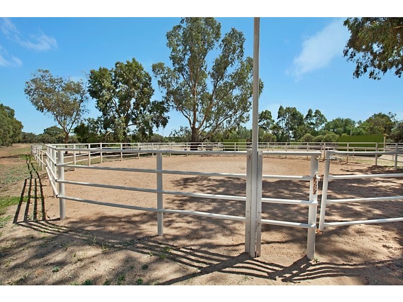 8 Badman Street, Hillier SA 5116