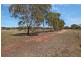8 Badman Street, Hillier SA 5116