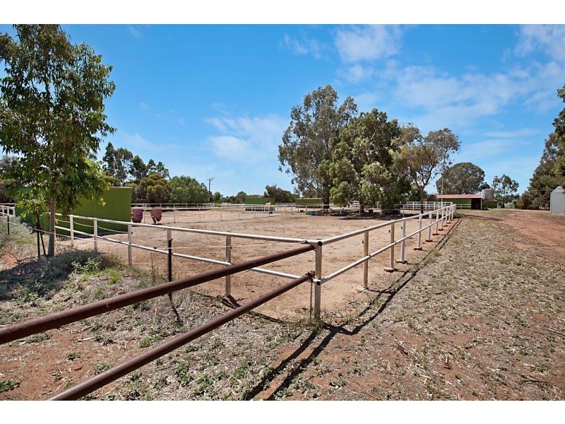 8  Badman Street Hillier Via, Gawler SA 5118