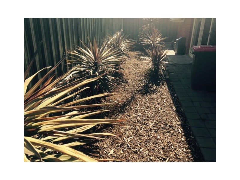 8 Adamson Street, Blakeview SA 5114