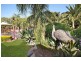 17 Linda Street, Shea-oak Log SA 5371