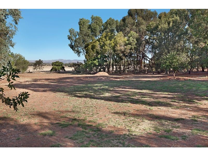 17 Linda Street, Shea-oak Log SA 5371