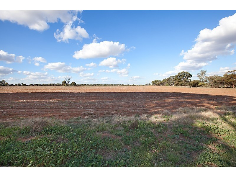 806 Murphys Crossing, Hamley Bridge SA 5401