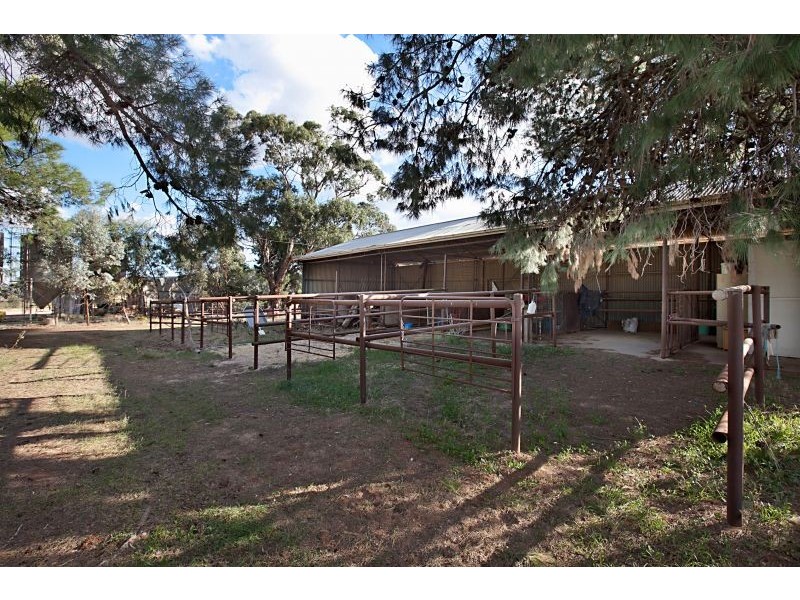 806 Murphys Crossing, Hamley Bridge SA 5401