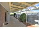 55 Borrow Street, Freeling SA 5372