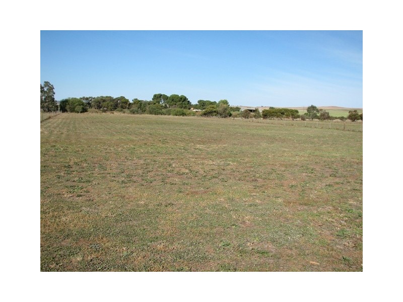 Lot 742 – 743 St Kitts Road Dutton Via, Truro SA 5356
