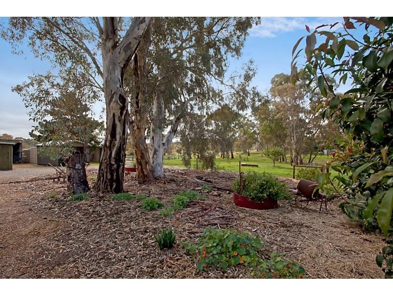 25 South Terrace, Williamstown SA 5351