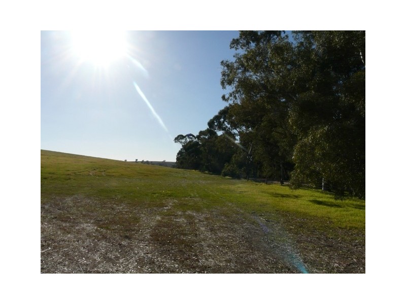 Lot 1  Woodlands Road, Cockatoo Valley SA 5351