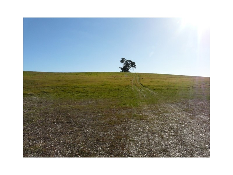 Lot 1  Woodlands Road, Cockatoo Valley SA 5351