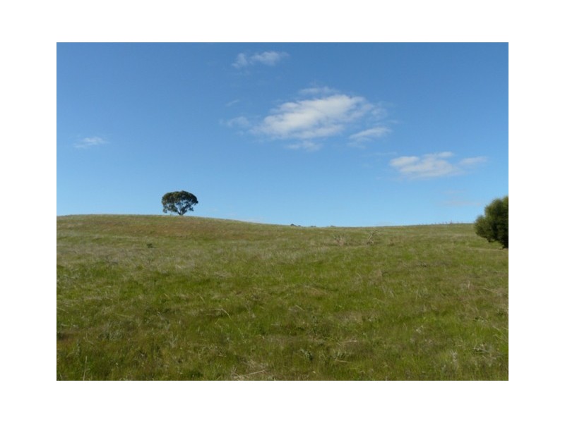 Lot 1  Woodlands Road, Cockatoo Valley SA 5351