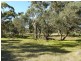 Lot 1  Woodlands Road, Cockatoo Valley SA 5351