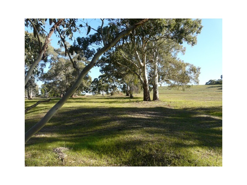 Lot 1  Woodlands Road, Cockatoo Valley SA 5351