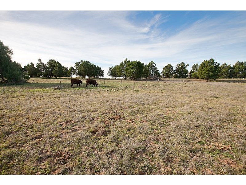 Lot 1 Fairlie Road, Gawler Belt SA 5118