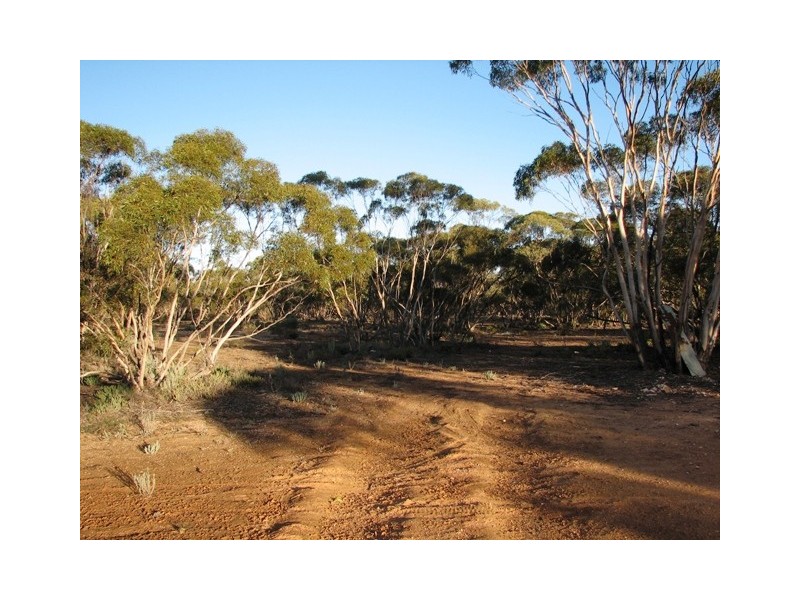 Sec 272 Sturt Highway Annadale Via, Truro SA 5356