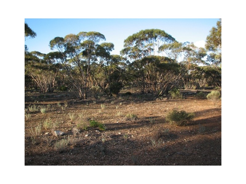 Sec 272 Sturt Highway Annadale Via, Truro SA 5356