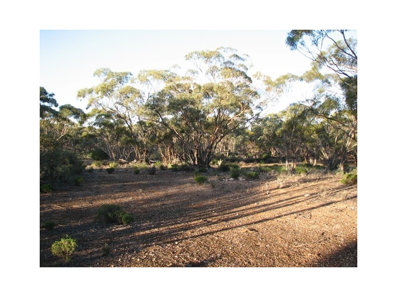 Sec 272 Sturt Highway Annadale Via, Truro SA 5356