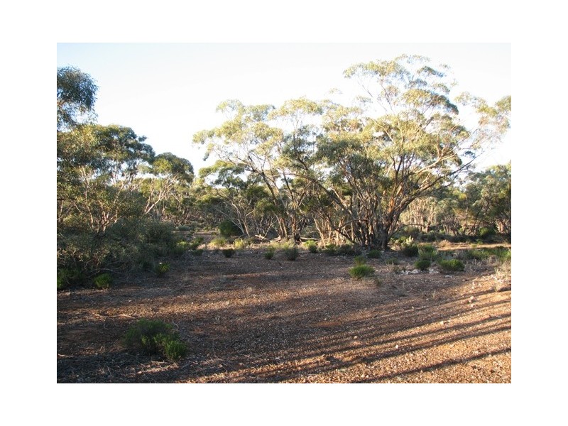 Sec 272 Sturt Highway Annadale Via, Truro SA 5356